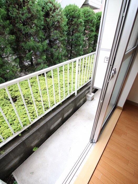 メイプルコ－トの物件内観写真