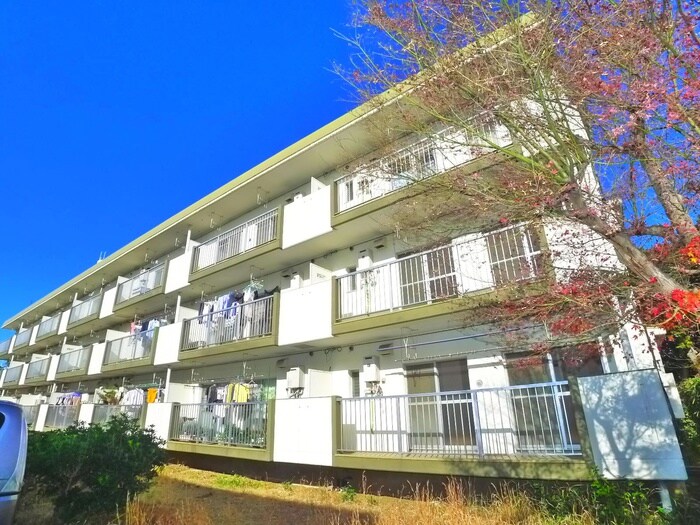 パークシティ白扇1号棟の物件外観写真