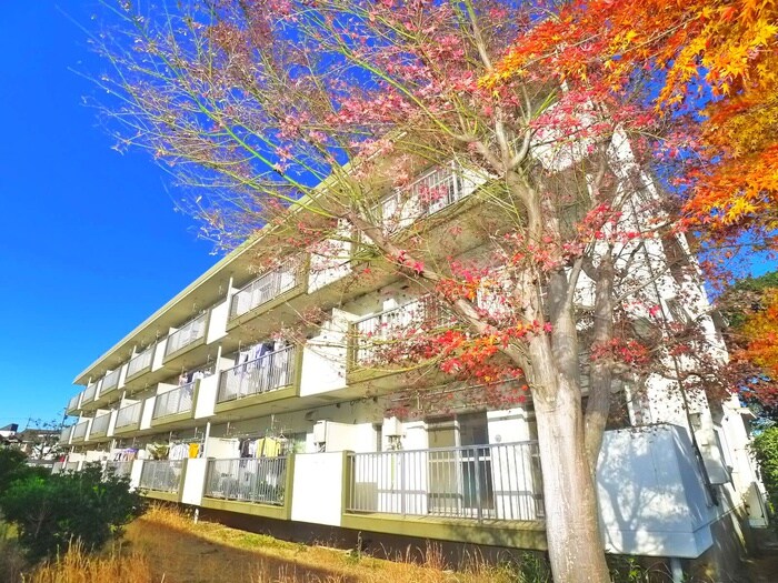 パークシティ白扇1号棟の物件外観写真