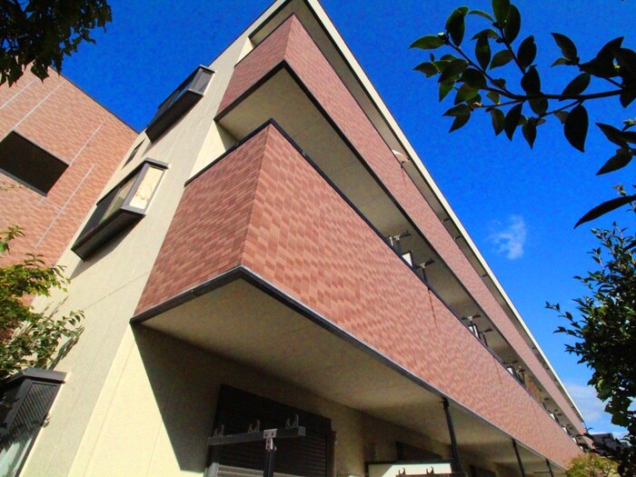 サンホワイトカメリアの物件外観写真