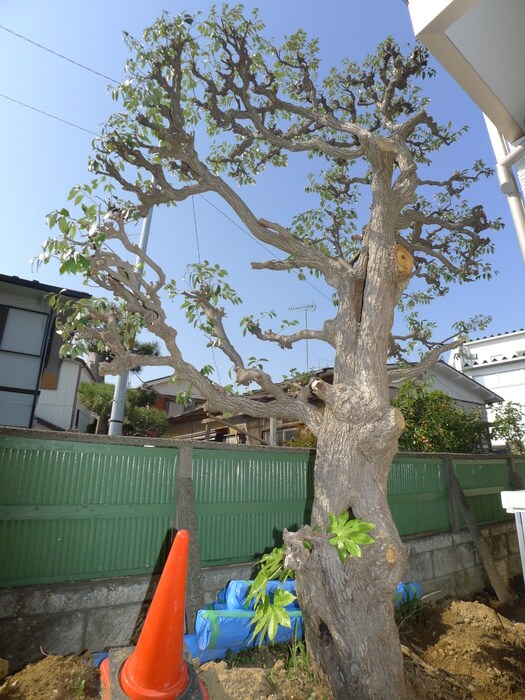 ラ・ベル・メール宮本の物件外観写真