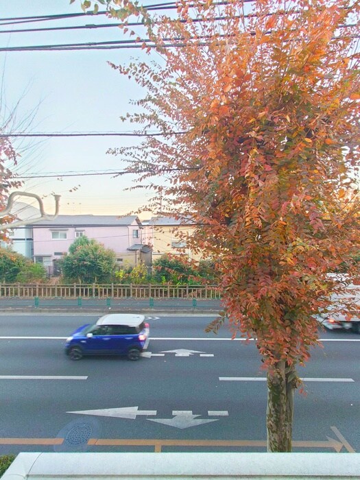 ハピネス清瀬の物件内観写真