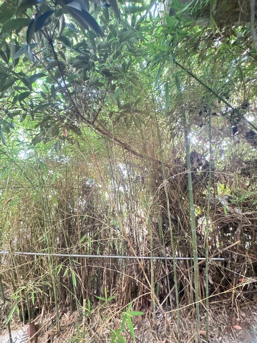 ジョイフルカ－サの物件内観写真