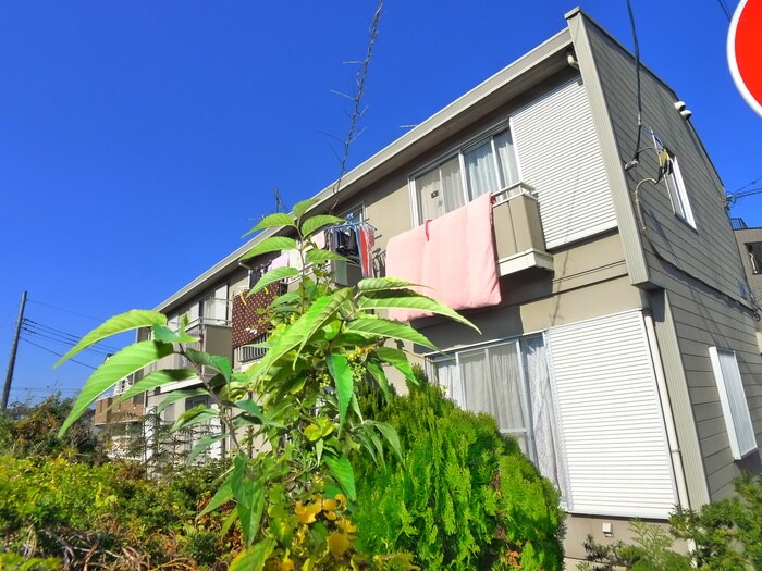 サニーハイツＢ棟の物件外観写真