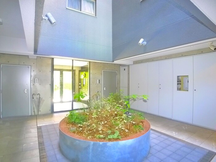 Sunny Side Forestの物件外観写真