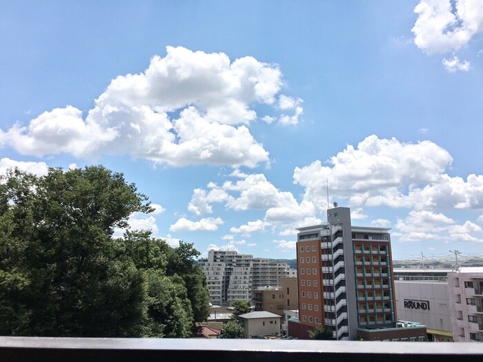 ﾗｲｵﾝｽﾞﾏﾝｼｮﾝ府中第5（８０１）の物件内観写真