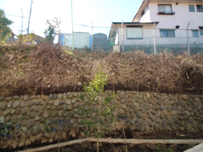 リブリ・アルモの物件内観写真