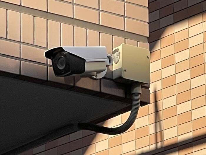 ビラ草加Ａ棟の物件外観写真