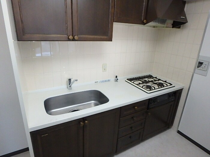 シティハイツ根津(302)の物件内観写真