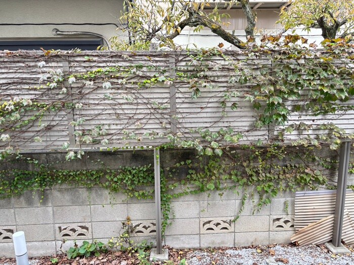 バーミープレイス東小金井の物件内観写真