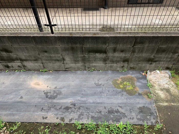 ワカシマハイムの物件内観写真