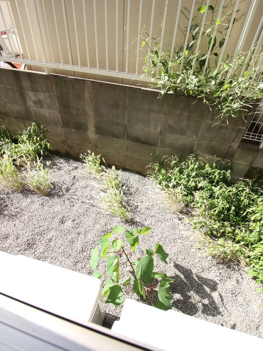 メゾン・ド・フォルテの物件内観写真