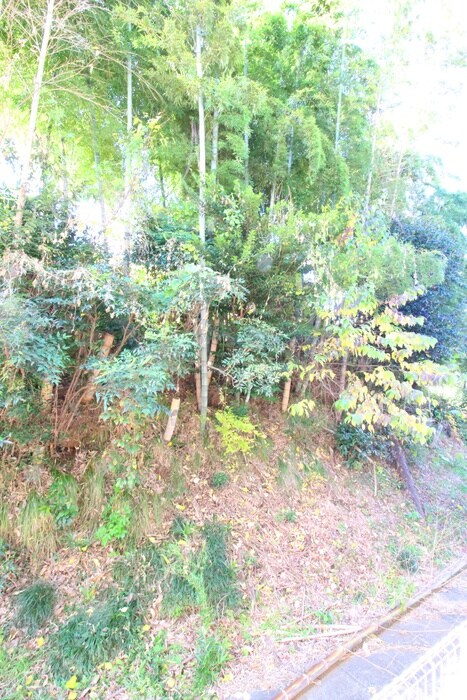 パレットワン百合ヶ丘の物件内観写真