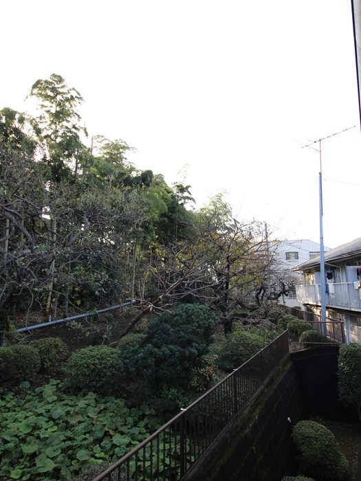 グランディ－ル希望ヶ丘Ａの物件内観写真