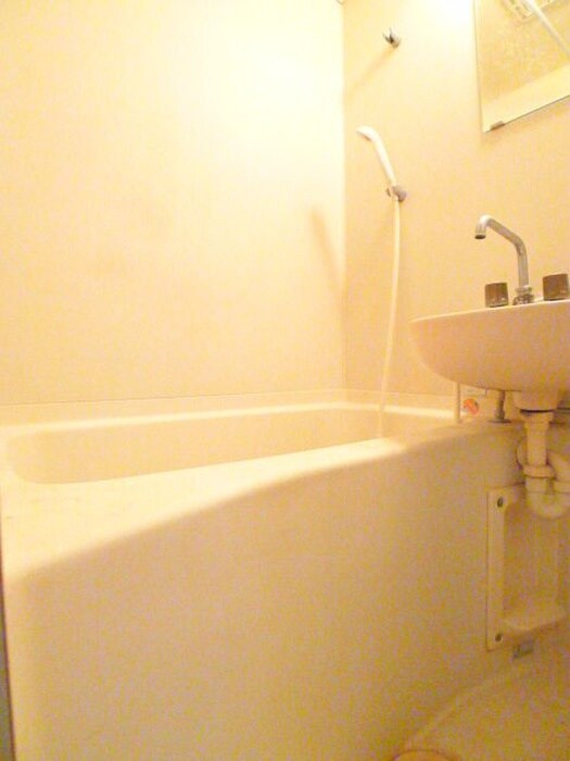 スカイメゾン新松戸の物件内観写真