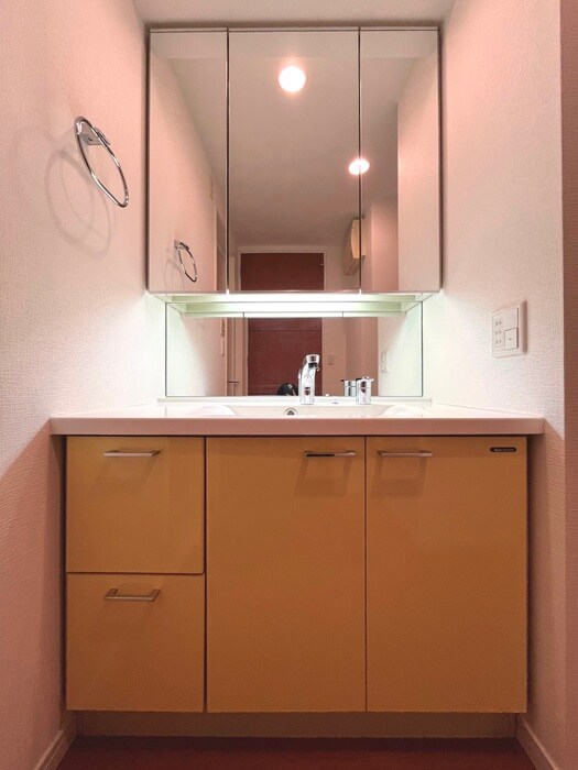 ﾛｲﾔﾙﾊﾟｰｸｽﾀﾜｰ南千住の物件内観写真