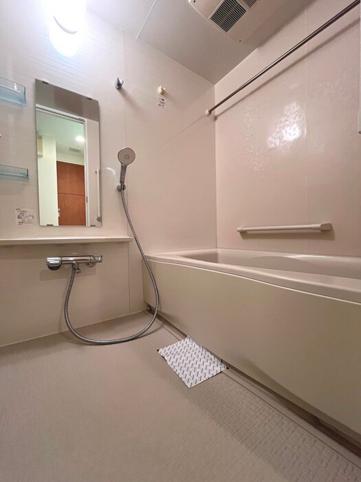 ﾛｲﾔﾙﾊﾟｰｸｽﾀﾜｰ南千住の物件内観写真