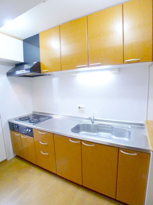 セントレジス・グランの物件内観写真