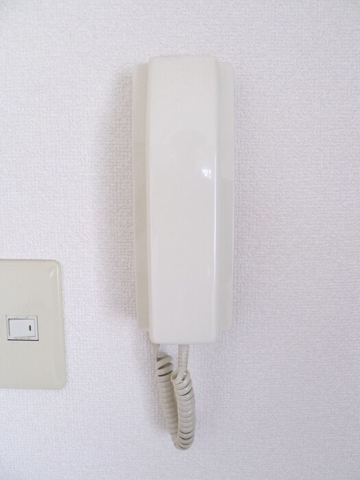 ｸﾞﾚ-ｽの物件内観写真