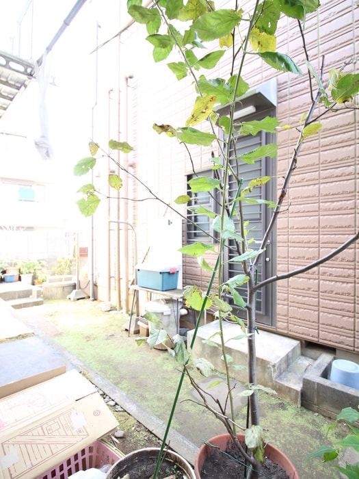 ハイツマリアの物件内観写真