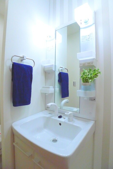 ベレガンス柏の物件内観写真