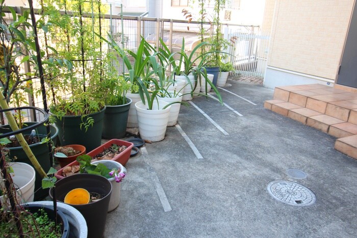 ピュアランドハイツの物件外観写真