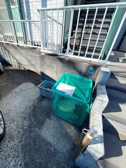 湘南ｻﾝﾗｲｽﾞの物件外観写真