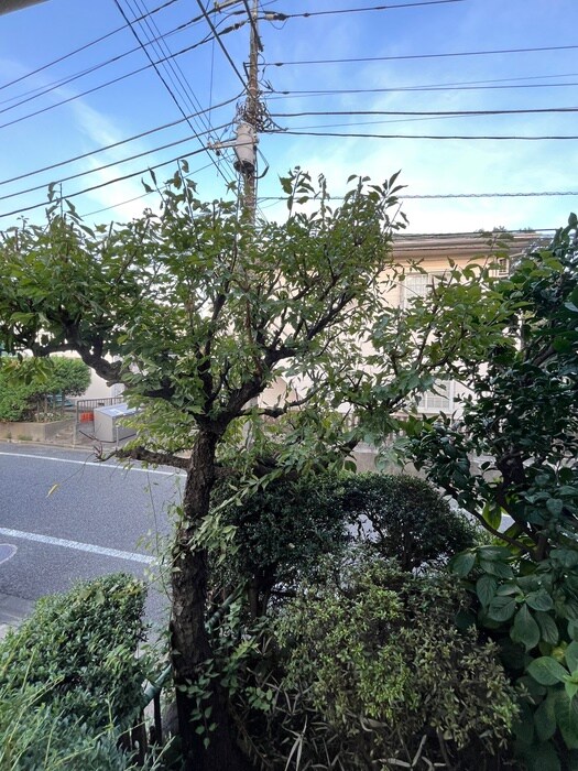 ピノハウスの物件内観写真