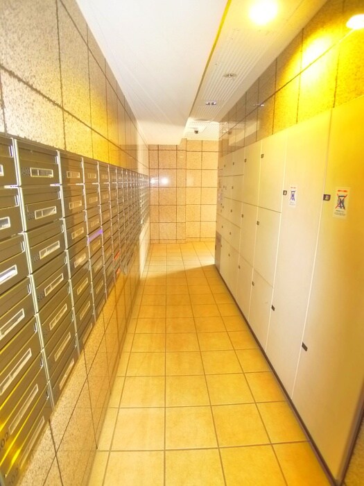 ﾐﾚﾆｵつくば万博記念公園(1006)の物件外観写真