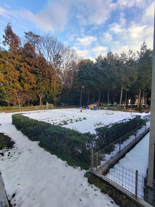 Luonto古淵の物件内観写真