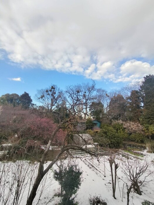 Luonto古淵の物件内観写真