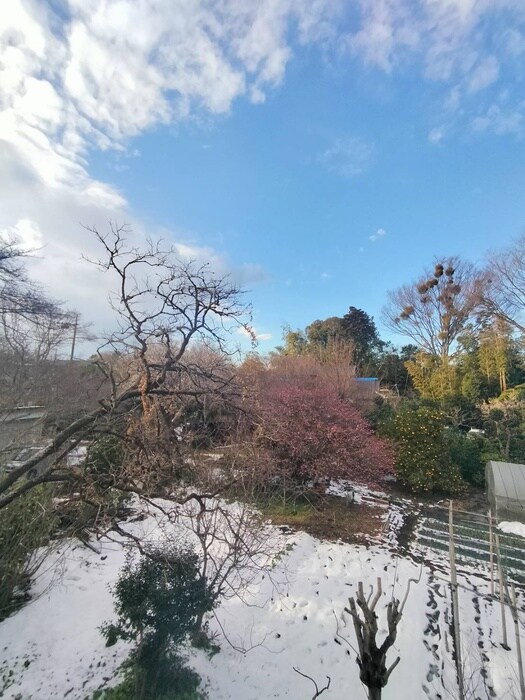 Luonto古淵の物件内観写真