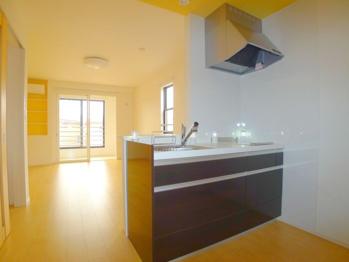 VER-SEAGULLの物件内観写真