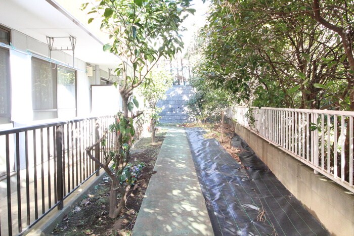 メゾン中白根（２Ｆ）の物件外観写真