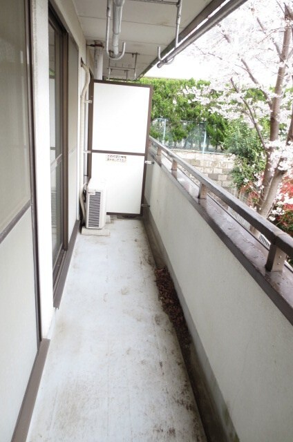 メゾン中白根（２Ｆ）の物件内観写真