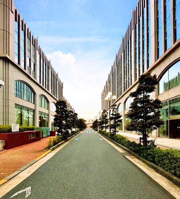 カ－サ蒲田(906)の物件外観写真