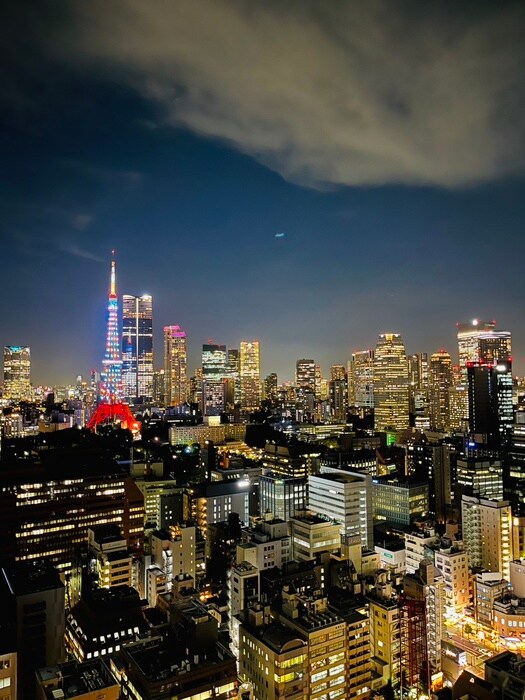 WORLDTOWERRESIDENCE(2602)の物件内観写真