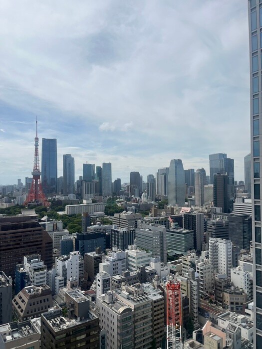 WORLDTOWERRESIDENCE(2602)の物件内観写真