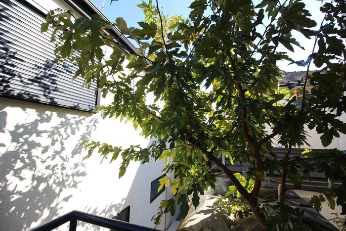 ジュネ相模原の物件内観写真