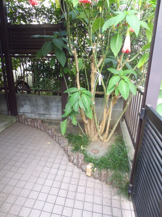 メゾンドグレイスの物件外観写真