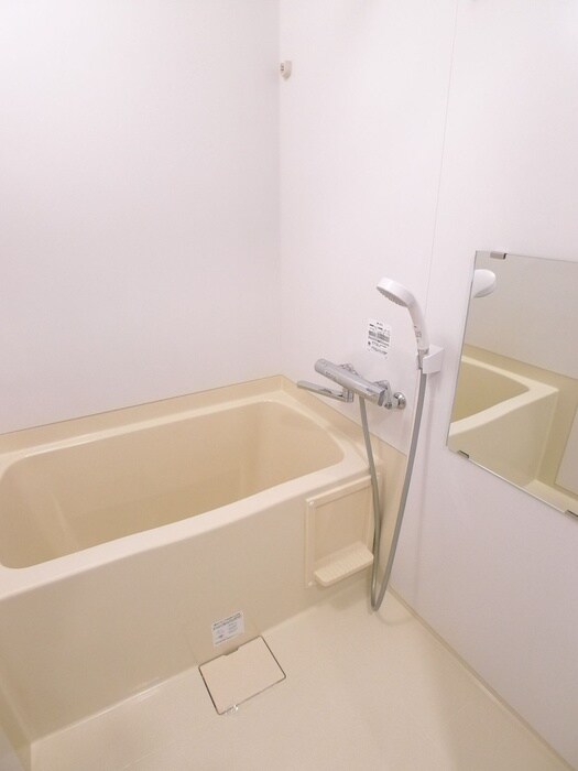 ＬａＳａｎｔｅ木場公園の物件内観写真