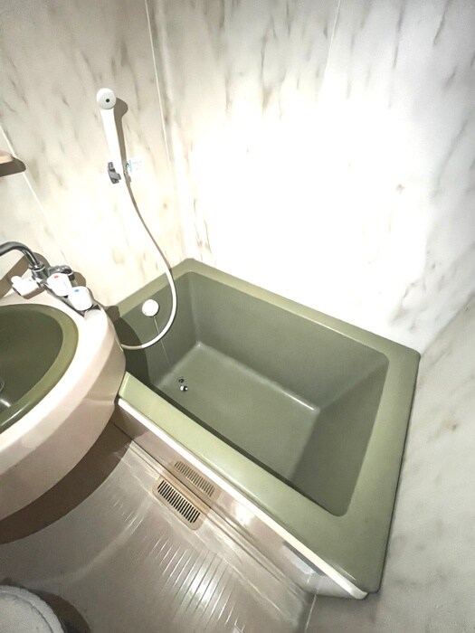 レイクアベニュ－大岡山の物件内観写真