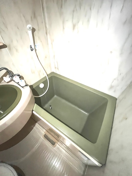 レイクアベニュ－大岡山の物件内観写真