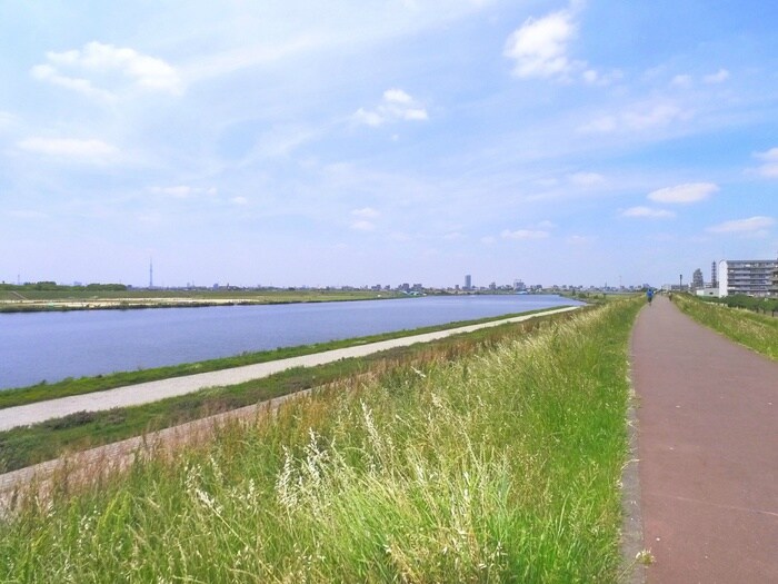 ヤサカハイム市川の物件外観写真