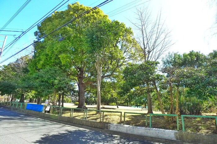 公園通り１号館わんわんの物件外観写真