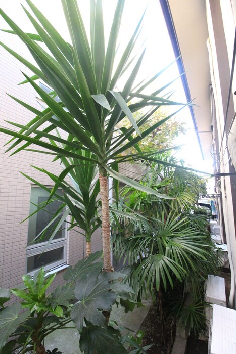 メゾン日東の物件内観写真