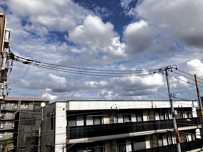 シンエイ第７船橋マンションの物件内観写真