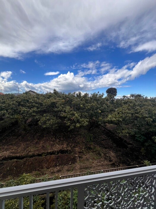 ベルゾーネの物件内観写真