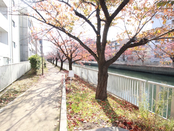 プランドールカワシマの物件外観写真