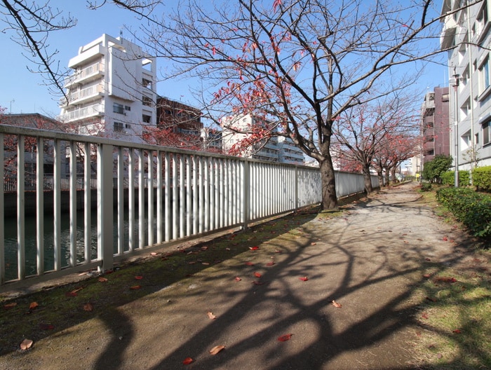 プランドールカワシマの物件外観写真